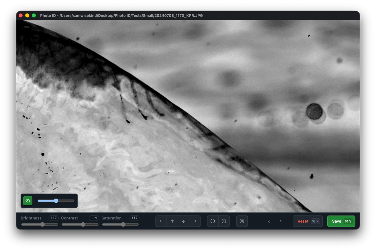Edit screen of the app with edge detection enabled