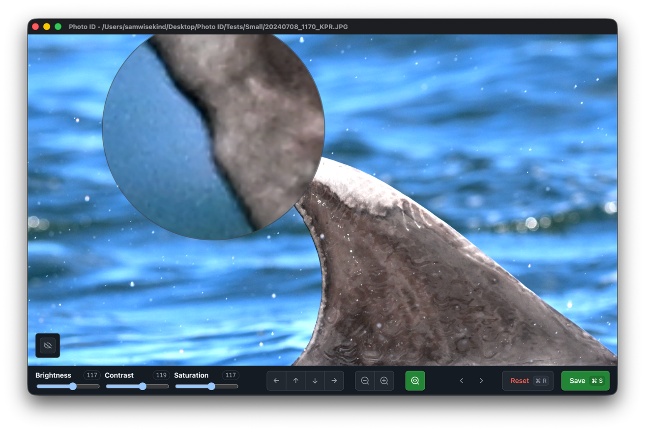 Edit screen of the app with the loupe enabled