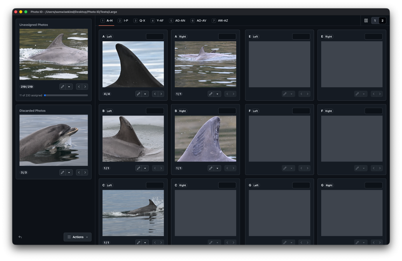 Project screen of the app